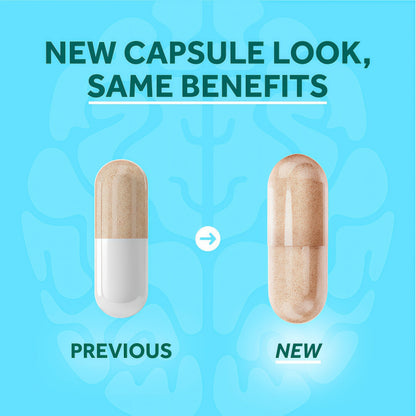 NEURIVA Plus Brain Supplements for Memory and Focus, Clinically Tested Nootropics Neurofactor and Phosphatidylserine, with Vitamin B12, Vitamin B6 and Folic Acid, 30 Count Capsules