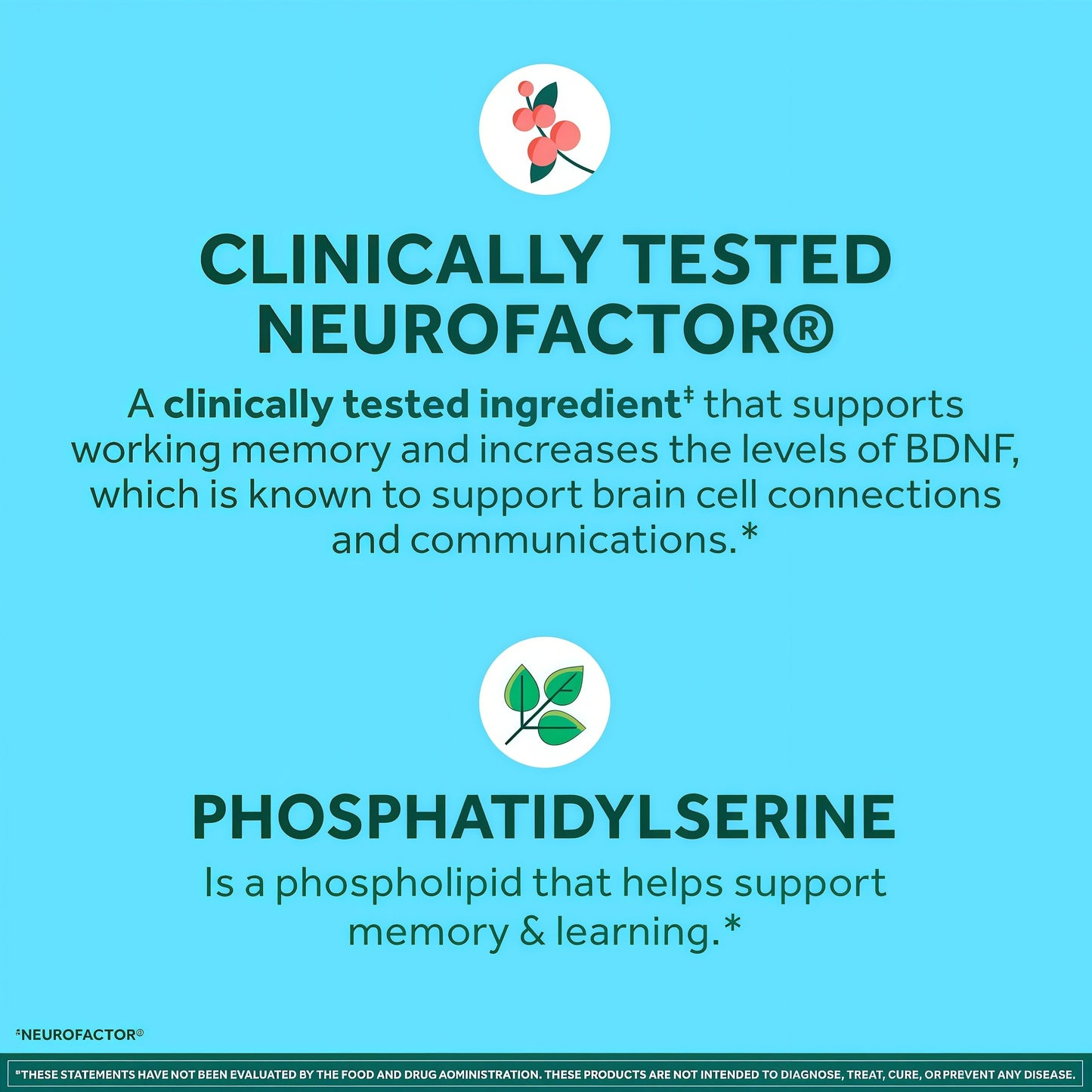 NEURIVA Plus Brain Supplements for Memory and Focus, Clinically Tested Nootropics Neurofactor and Phosphatidylserine, with Vitamin B12, Vitamin B6 and Folic Acid, 30 Count Capsules