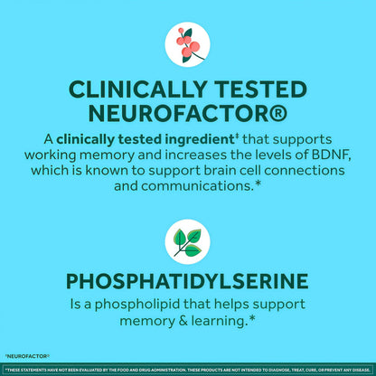 NEURIVA Plus Brain Supplements for Memory and Focus, Clinically Tested Nootropics Neurofactor and Phosphatidylserine, with Vitamin B12, Vitamin B6 and Folic Acid, 30 Count Capsules